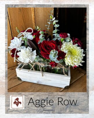 The Aggie Row