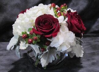 Aggie Elegance
