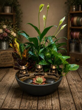 Frog & Fern Gully Rd ~ Enchanted Dish Gardens