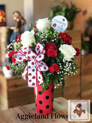 Thinking of you, Lady Bug! Treat ~ Limited