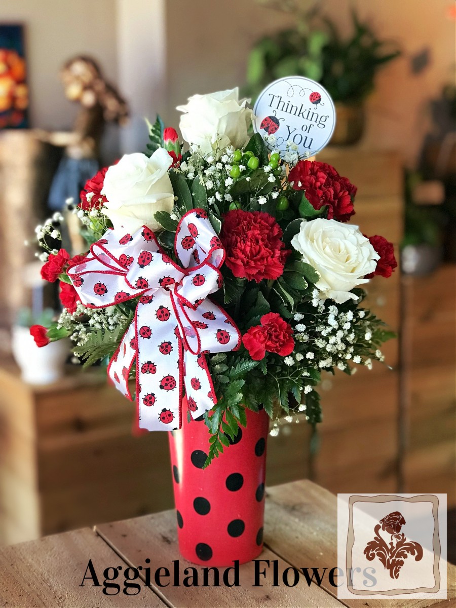 Thinking of you, Lady Bug! Treat ~ Limited