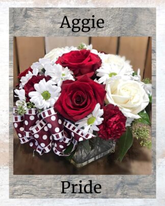 Aggie Pride