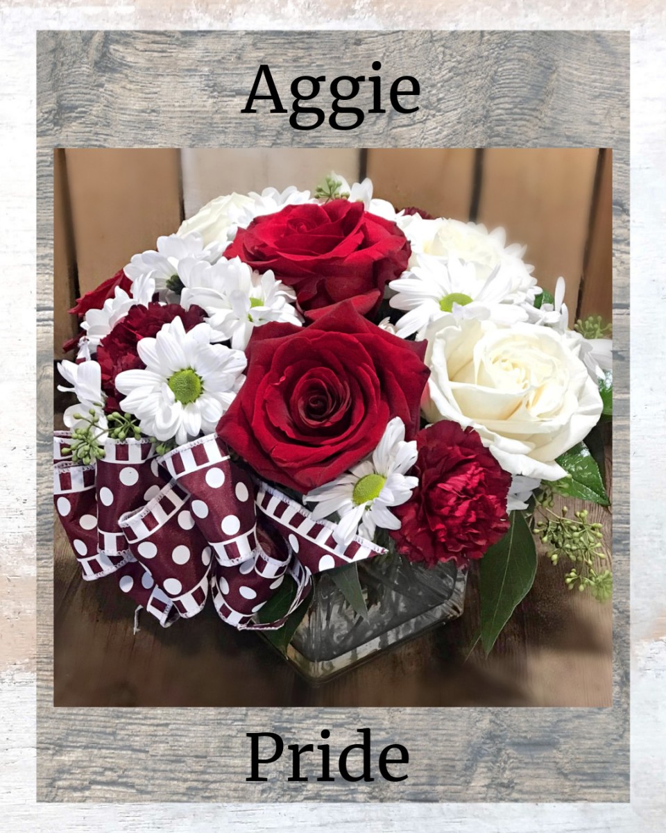 Aggie Pride