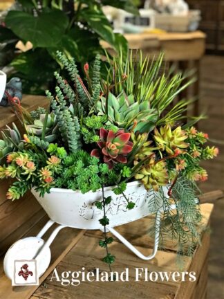 Faux Succulent Garden in Wheelbarrel