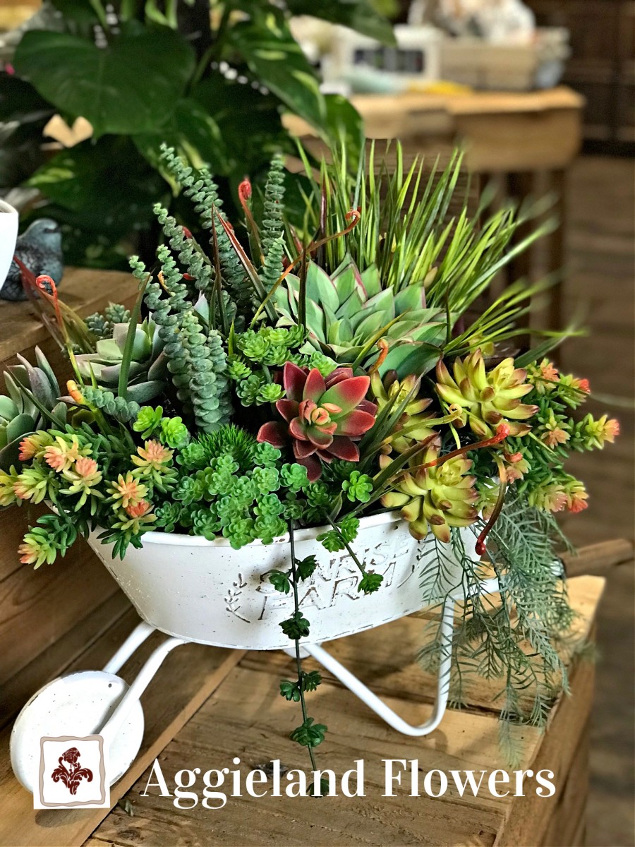 Faux Succulent Garden in Wheelbarrel