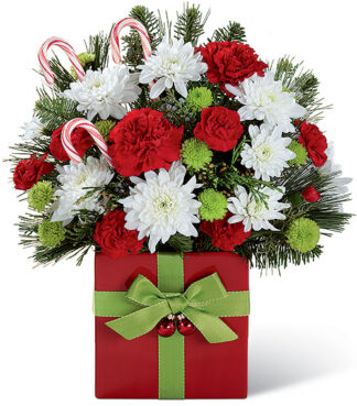 Christmas Cheer ~ Special Sale ~ Limited