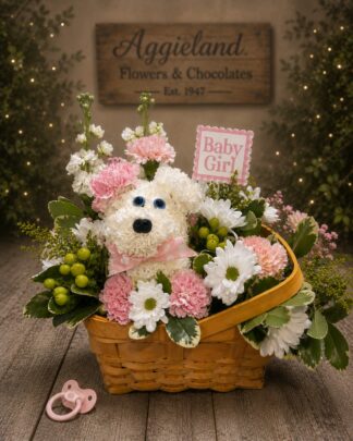 Little Wishes ~ Baby Girl