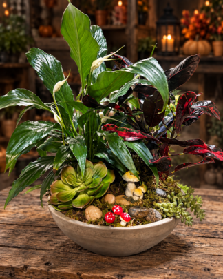Tiny Toad Court Enchanted Dish Garden with living green plants, artificial succulents, moss, stones, whimsical mushrooms, and tiny toads from Aggieland Flowers & Chocolates.