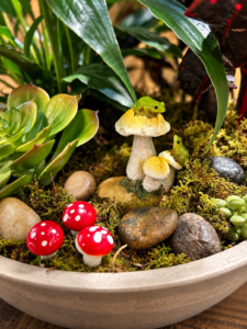 A picture of two tiny toads on a mushroom in a dish garden.