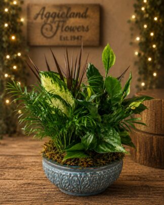 Moss & Fern Dish Garden Stoneware ~ (Medium) 10"