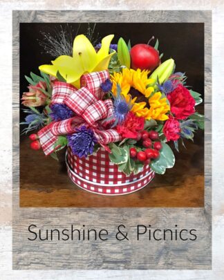 Sunshine & Picnics