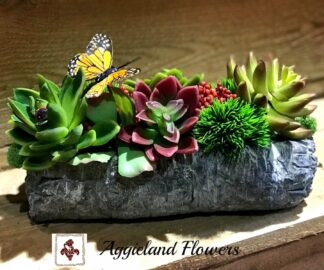 Faux Succulent Garden