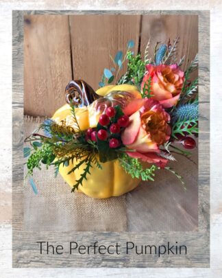 Perfect Pumpkin Charms