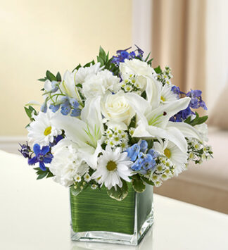 Comfort & Peaceful Blossoms ~ Blue