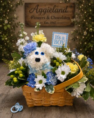 Little Wishes ~ Baby Boy