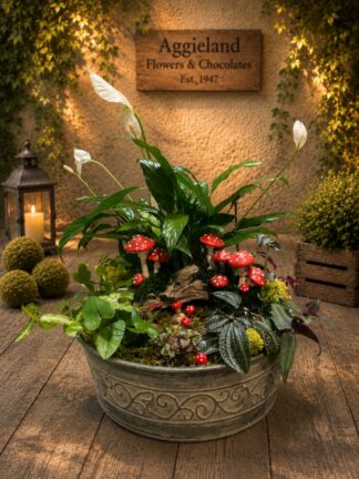 Mushroom Meadows ~ Enchanted Dish Garden