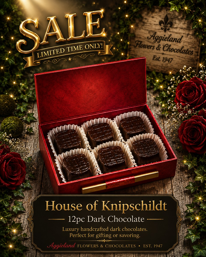 Knipschildt ~ 6pc Dark Chocolate Truffles