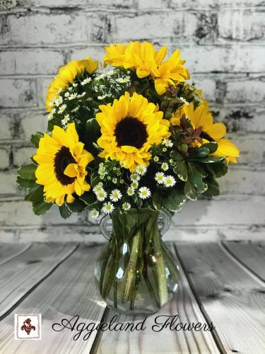 Sunflowers in Spain with Chocolates