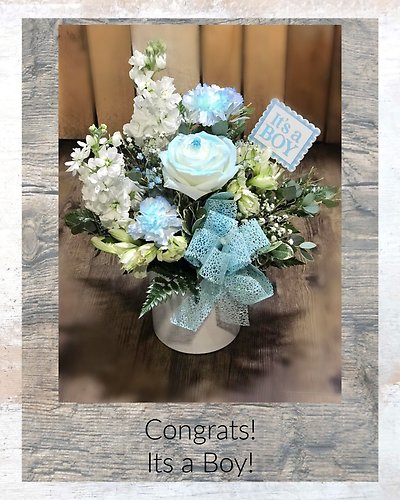 Congrats! It is a Boy!