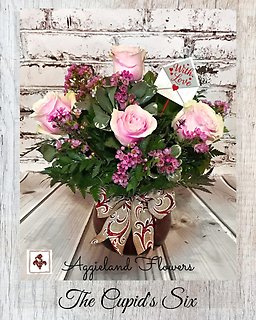 Cupids Classic Six - Choose Color