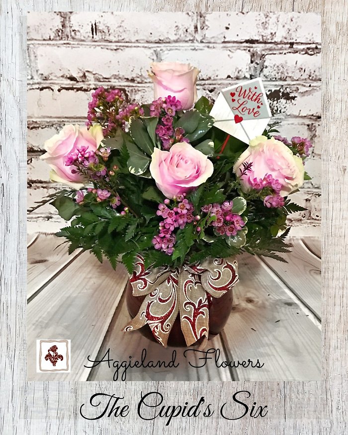 Cupids Classic Six - Choose Color