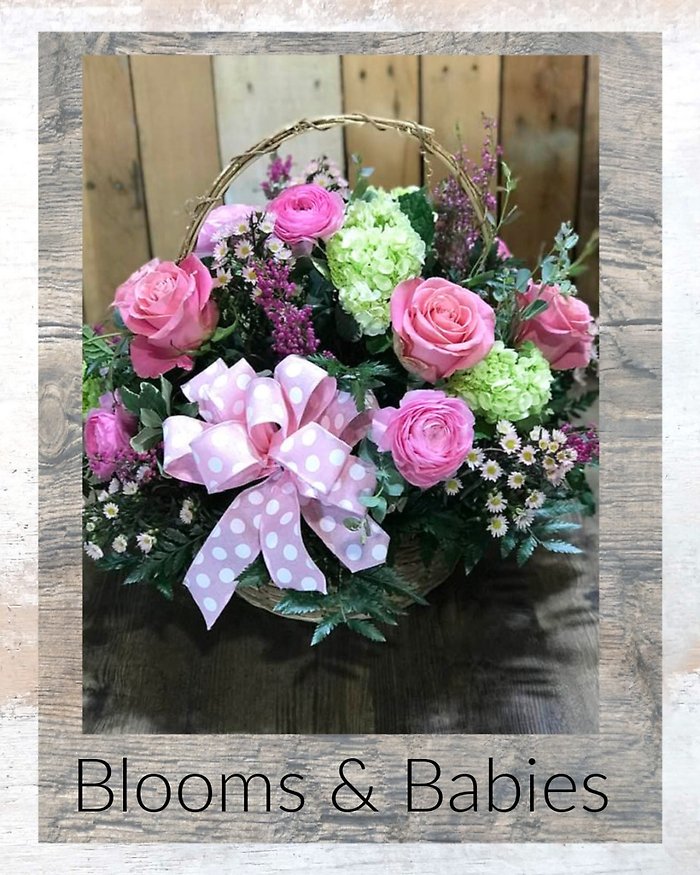 Babies and Blooms