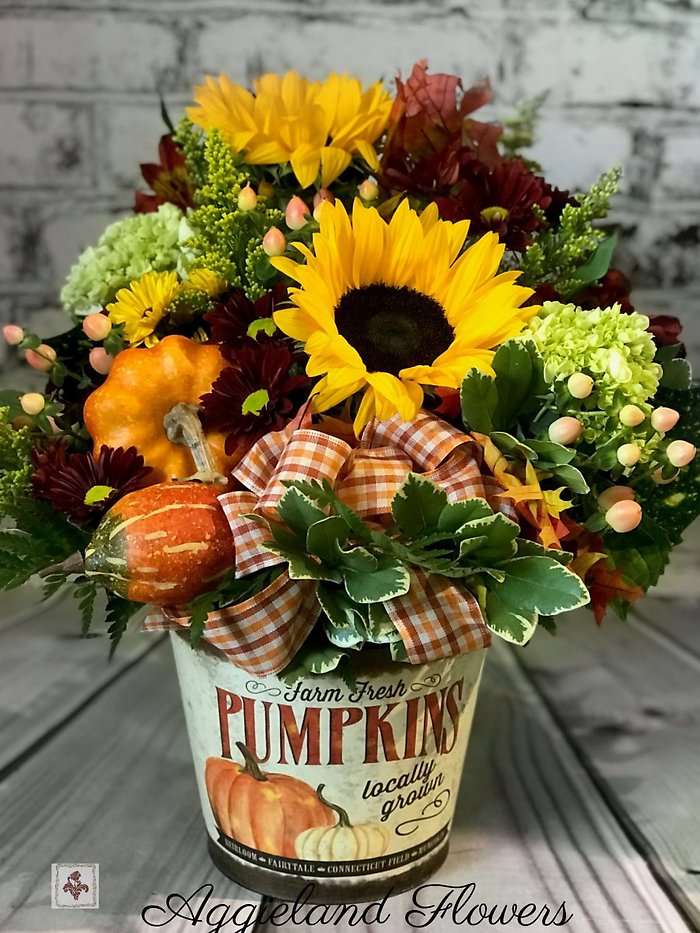 Carmen\'s Pumpkin Patch