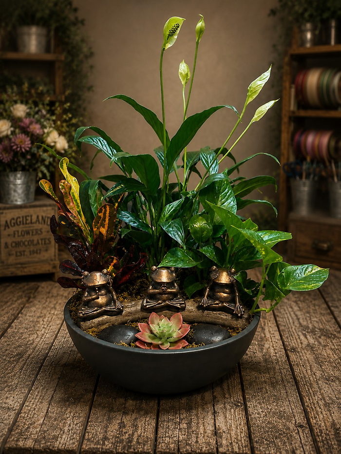 Frog & Fern Gully Rd ~ Enchanted Dish Gardens