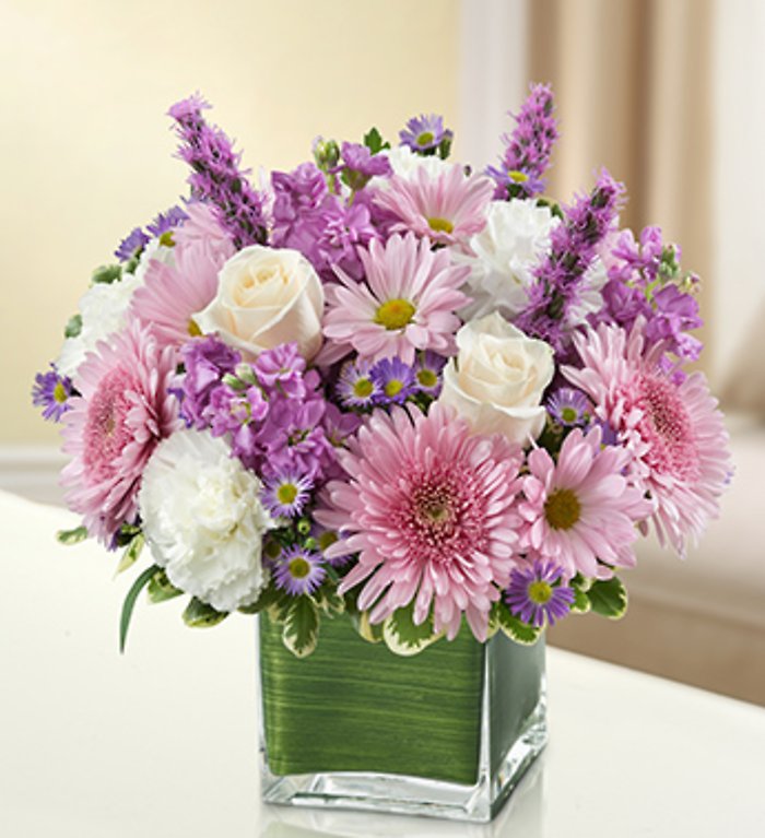 Comfort and Peaceful Blossoms Lavender
