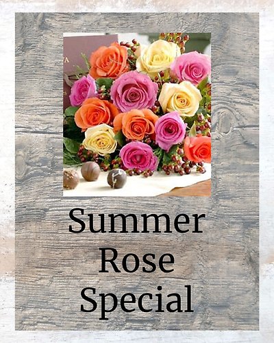 Summer Rose Special