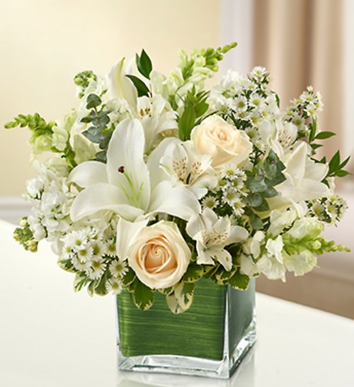 Comfort and Peaceful Blossoms - White