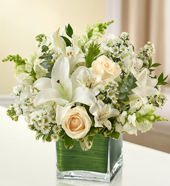 Comfort and Peaceful Blossoms - White