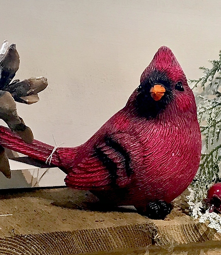 Holiday Cardinal