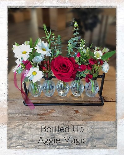 Bottle Up Aggie Magic