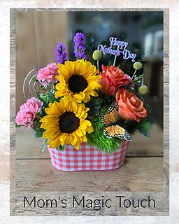 Mom\'s Magic Touch