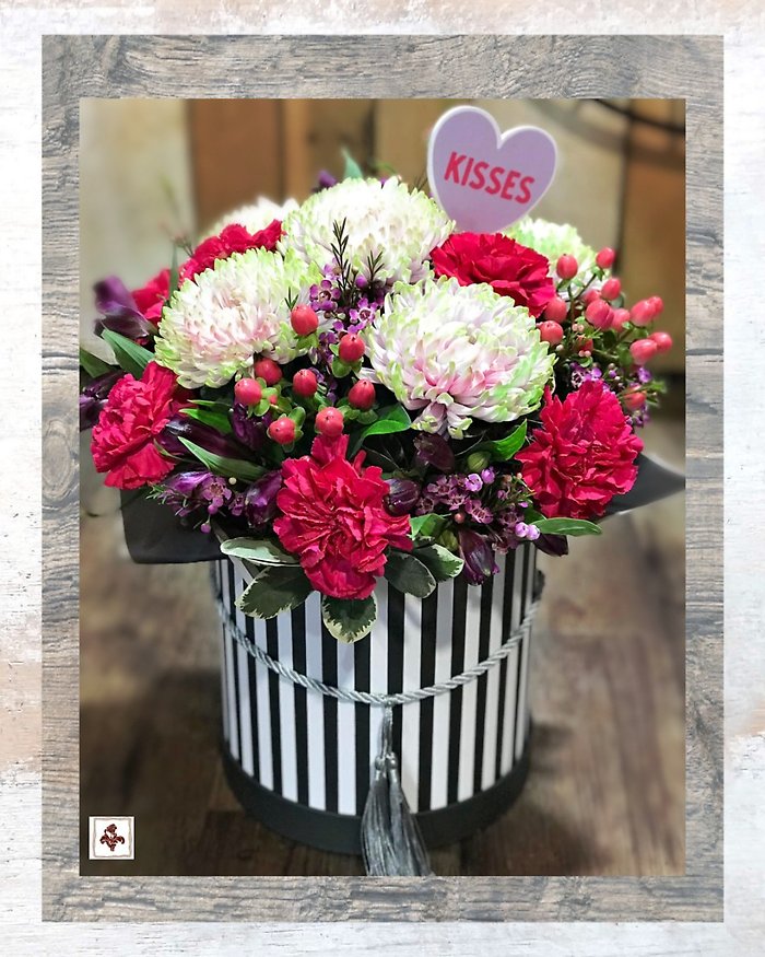 Will You Be My Valentine?