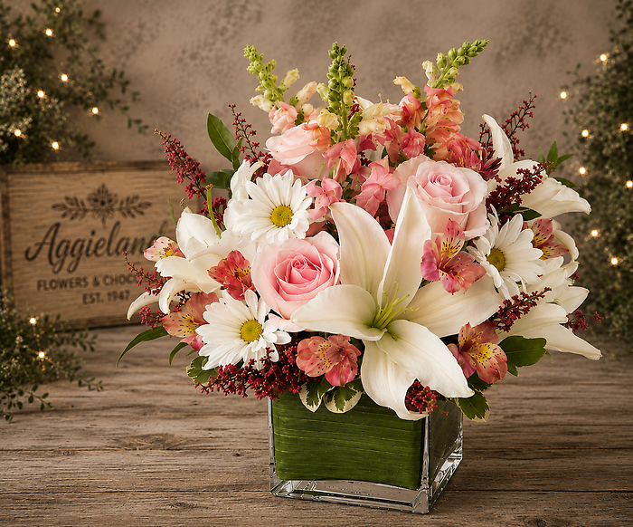 Comfort and Sympathy Pink~ Size Options