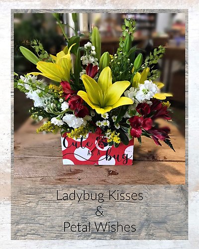 Ladybug Kisses & Petal Wishes