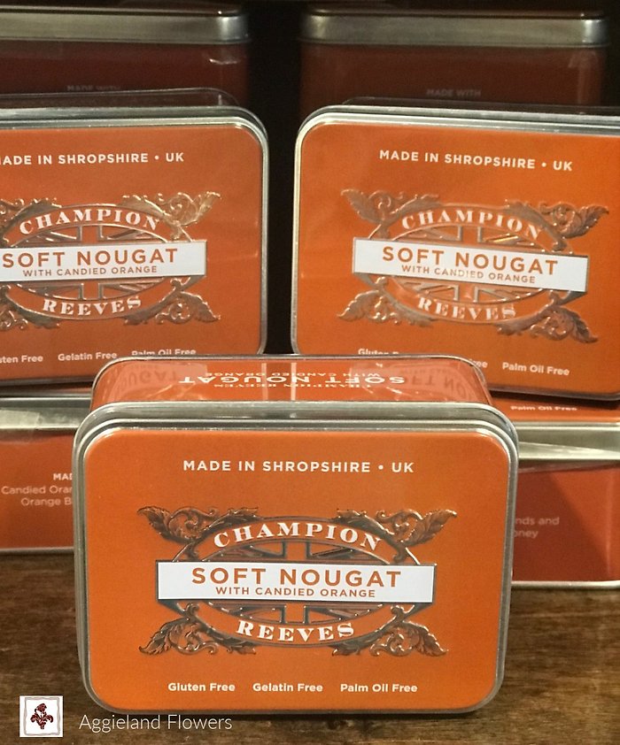 Soft Nougat with candied orange pieces