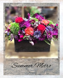 Summer Metro