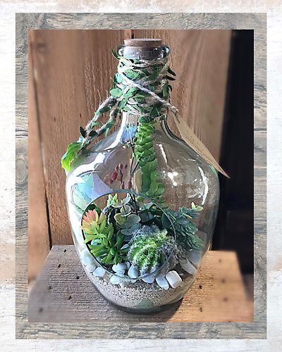 Faux ~ Enchanted Cactus & Succulent Terrarium