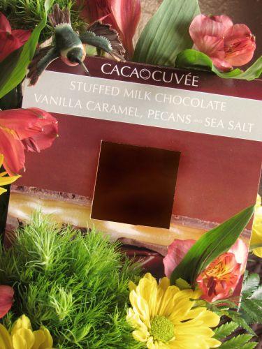 CacaoCuvee Texas Sized Stuffed Chocolate Bars
