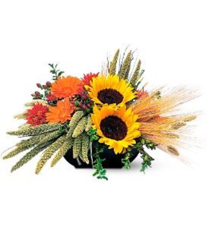 Sunflower Harvest