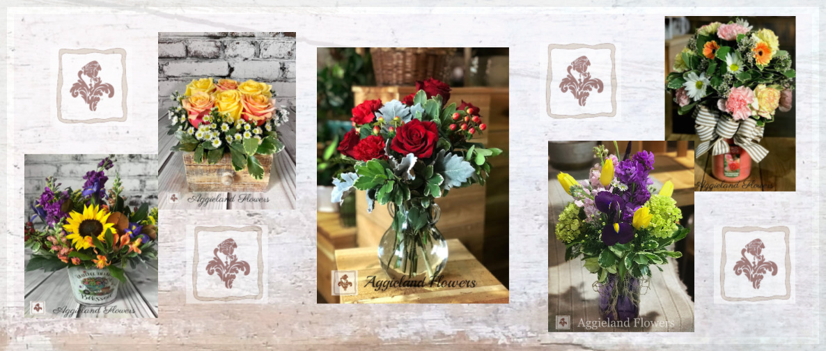 In Progress Spring / Summer