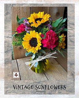 Vintage Sunflowers with Treat