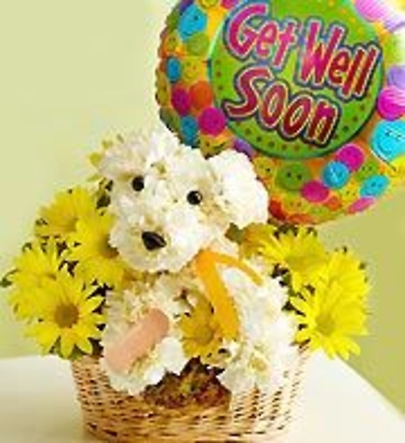 Get Well Puppy Kisses!