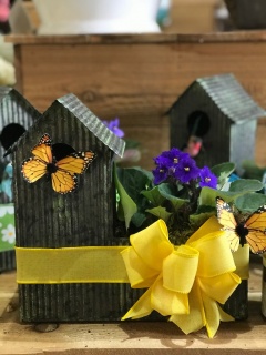 Charming Birdhouse with African Violet