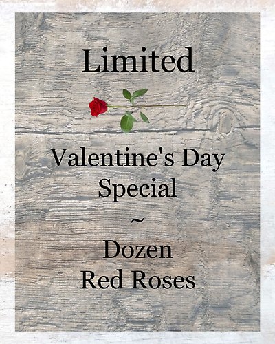 Limited ~ Dozen Red Roses Special