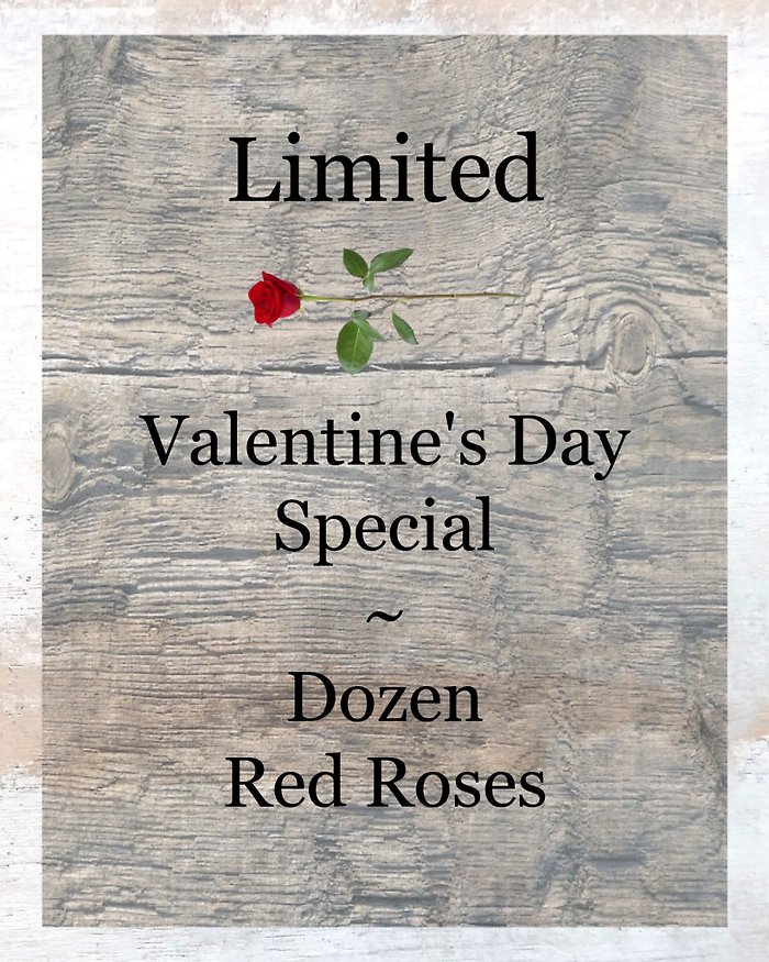 Limited ~ Dozen Red Roses Special