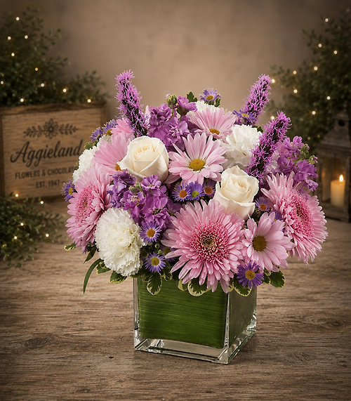 Comfort and Peaceful Blossoms Lavender